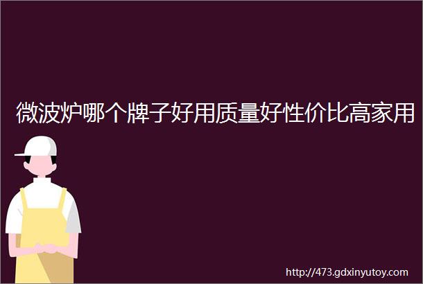 微波炉哪个牌子好用质量好性价比高家用